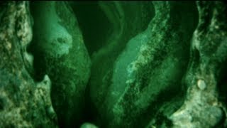 Underwater Cave Free Diving Blue Spring State Park GoPro HD 91512 [upl. by Greenfield794]