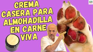 ✅ CREMA CASERA PARA CURAR ALMOHADILLA DE PERRO EN CARNE VIVA O LEVANTADA ✅ [upl. by Notxed]