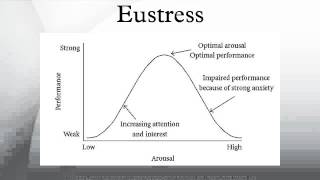 Eustress [upl. by Felicity820]