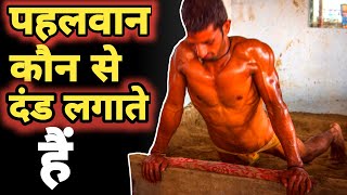 पहलवान कौन से दंड लगाते हैं ।। दंड बैठक लगाने के फायदे ।। celibacybenefits brahmacharya [upl. by Noivaz318]