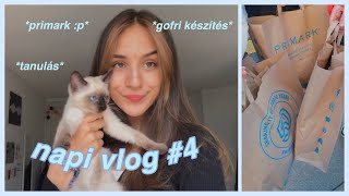 napi vlog 4 [upl. by Alleirbag153]