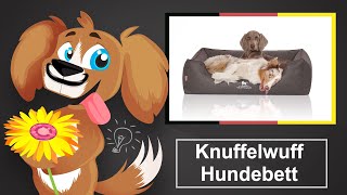 🐶 Knuffelwuff Hundebett – Einschätzung und Kaufratgeber [upl. by Arrio]