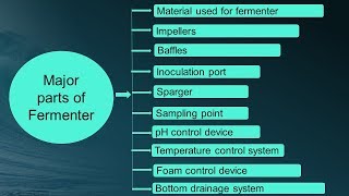 Design of Fermentor in Hindi  Microbiology with Sumi [upl. by Newell]