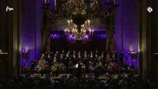 European Union Baroque Orchestra  Händel Te Deum Utrecht Jubilate Utrecht  Lars Ulrik Mortensen [upl. by Auqenwahs]