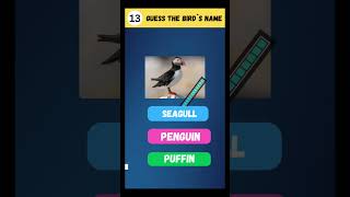 GK QUIZ  ENGLISH QUIZ  BIRDS QUIZ  QUIZ SHORTS  quiz gkquiz shorts gk education [upl. by Itnaihc]