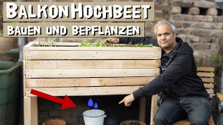 Kleines Hochbeet für Balkon und Terrasse einfach selber bauen und mit Salat und Gemüse bepflanzen [upl. by Channa416]