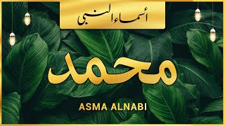 Asma ul Nabi  Names of Prophet Muhammad SAW  اسماء النبی ﷺ [upl. by Zea]