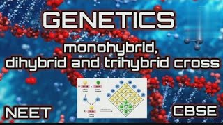 Monohybrid Dihybrid Trihybrid Cross  GENETICS  CBSENEET [upl. by Arley]