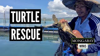 Sea Turtle Rescue Meet the Indonesian man who saves turtles from being eaten [upl. by Afital]