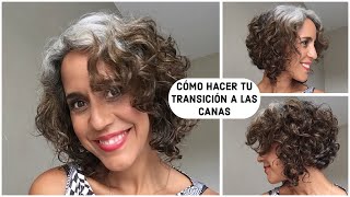 CÓMO HACER TU TRANSICIÓN A LAS CANAS  CONSEJOS  GREY HAIR [upl. by Barbra766]