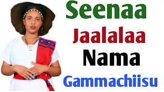 Seenaa Jaalalaa Nama Gammachiisu [upl. by Hayn]