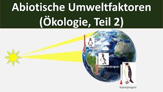 Abiotische Umweltfaktoren Überblick  Temperatur Wasser Licht etc Biologie Ökologie 210 [upl. by Hufnagel]