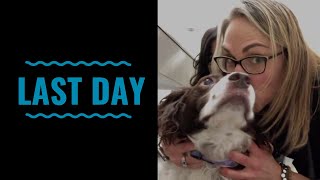 Last Day VLOG 57 with dog lymphoma mast cell tumors testicular cancer and cat hemangiosarcoma [upl. by Viquelia582]