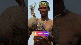 The Khoisan Origin Culture Tradition And Language southafrica khoisan tribe africa origin [upl. by Nirrek]