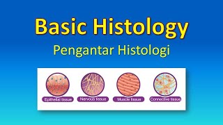 Basic Histology  Pengantar Histologi [upl. by Gastineau]