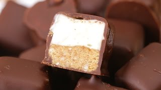 ChocolateCovered Cheesecake Bites [upl. by Sudnor]