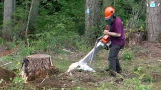 Alpine Magnum Portable Stump Grinder [upl. by Labanna]