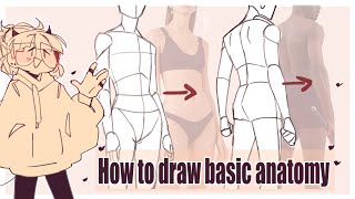 How to draw basic anatomy [upl. by Mayhew]