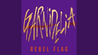 Rebel Flag [upl. by Maurilla]