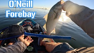 FIRST TRIP IN THE YAK SINCE MAY 10 DINKS 1 KEEPER ONEILL FOREBAY [upl. by Anit]