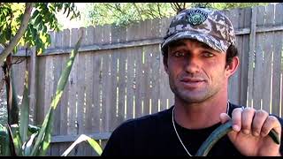 Neco Padaratz Talks About His 2005 ASPWCT Drug Ban amp His Back Injury Comeback Brazilian Pro Surfer [upl. by Dyob]