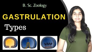 Gastrulation  Types  Developmental Biology  B Sc 3rd year Zoology [upl. by Magree]