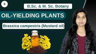 Economic Botany  OILYIELDING PLANTS Brassica campestris Mustard oil  B Sc amp M Sc [upl. by Asoral]