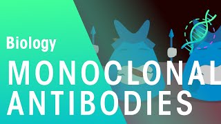 Monoclonal Antibodies  Health  Biology  FuseSchool [upl. by Samantha]