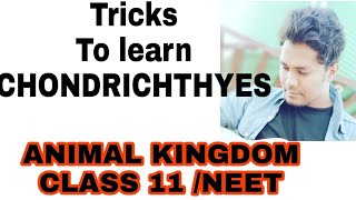 Tricks to learn the examples of CHONDRICHTHYES NCERT CLASS 11 ANIMAL KINGDOM IMP FOR NEET [upl. by Adnolohs]