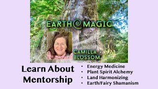 Learn About Mentorship Energy  Plant Spirit Medicine Land Alchemy EarthFairy Shamanism [upl. by Belford]