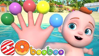 Baby Finger Where Are You  Finger Family Song  Nursery Rhymes amp Babys Songs [upl. by Twelve]