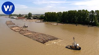 Les trains de bois flottant du Canada  À la rencontre des derniers draveurs [upl. by Heim485]