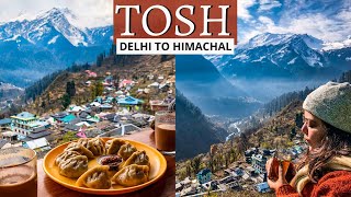 Delhi to tosh village I Himachal Pradesh I A complete tosh itinerary I Best place in Parvati valley [upl. by Karlen]