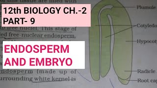 Class 12 biology chapter2Part9post fertilisationstructures and eventsStudy with farru [upl. by Lozar853]