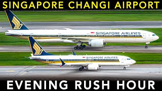 SINGAPORE CHANGI AIRPORT  Evening RUSH HOUR  PLANE SPOTTING [upl. by Merrick]