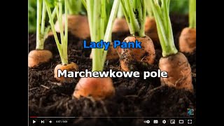 Lady Pank  Marchewkowe pole  karaoke [upl. by Ennahtebazile]