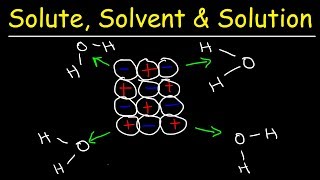 Solute Solvent amp Solution  Solubility Chemistry [upl. by Fotinas]