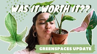 GREENSPACES UNBOXING UPDATE  how to care for plants after shipping [upl. by Hyams]