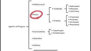 Farmacología básica agentes antifúngicos leer descripción [upl. by Trebliw]