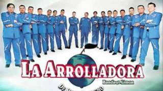 La Arrolladora Banda El Limon Mix 1 [upl. by Ewer]