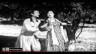 WAH BAI WAH JANI EH TA JA  INAYAT HUSSAIN BHATTI amp ZUBAIDA KHANUM  PAKISTANI FILM MORNI [upl. by Susumu]