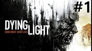 Dying Light e Dying light 2  Preparação para Dying Light The Beast [upl. by Suu]