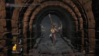 Dark Souls 3 Catacombs Of Carthus Secret Shortcut [upl. by Ailema]