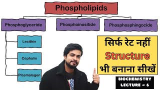 Phospholipids and its Types  Biochemistry Lecture in Hindi [upl. by Attirb732]