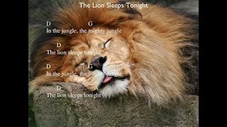 awin mawe the lion sleep nueva version 2011 New Version of 2011 [upl. by Velma]