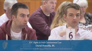 ESC Rights in Irish Constitutional David Fennelly BL [upl. by Earvin]