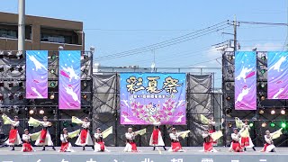 【4K】実践女子大学 YOSAKOIソーラン部 WING第41回 朝霞市民まつり 彩夏祭マイタウン北朝霞ステージ [upl. by Ynned]