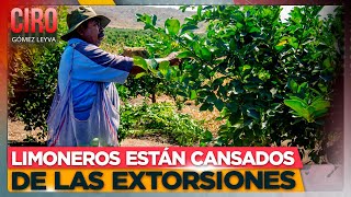 Productores y empacadores de limón pararon actividades en Apatzingán Michoacán  Ciro Gómez Leyva [upl. by Ehr]