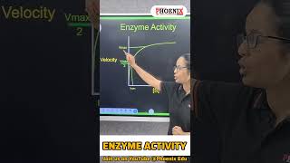 Effect of substrate on enzyme 🧫☣shorts youtubeshorts reels BIOLOGY [upl. by Aliac]