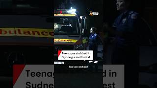 Teenager stabbed in Campsie Sydney [upl. by Sherburn]